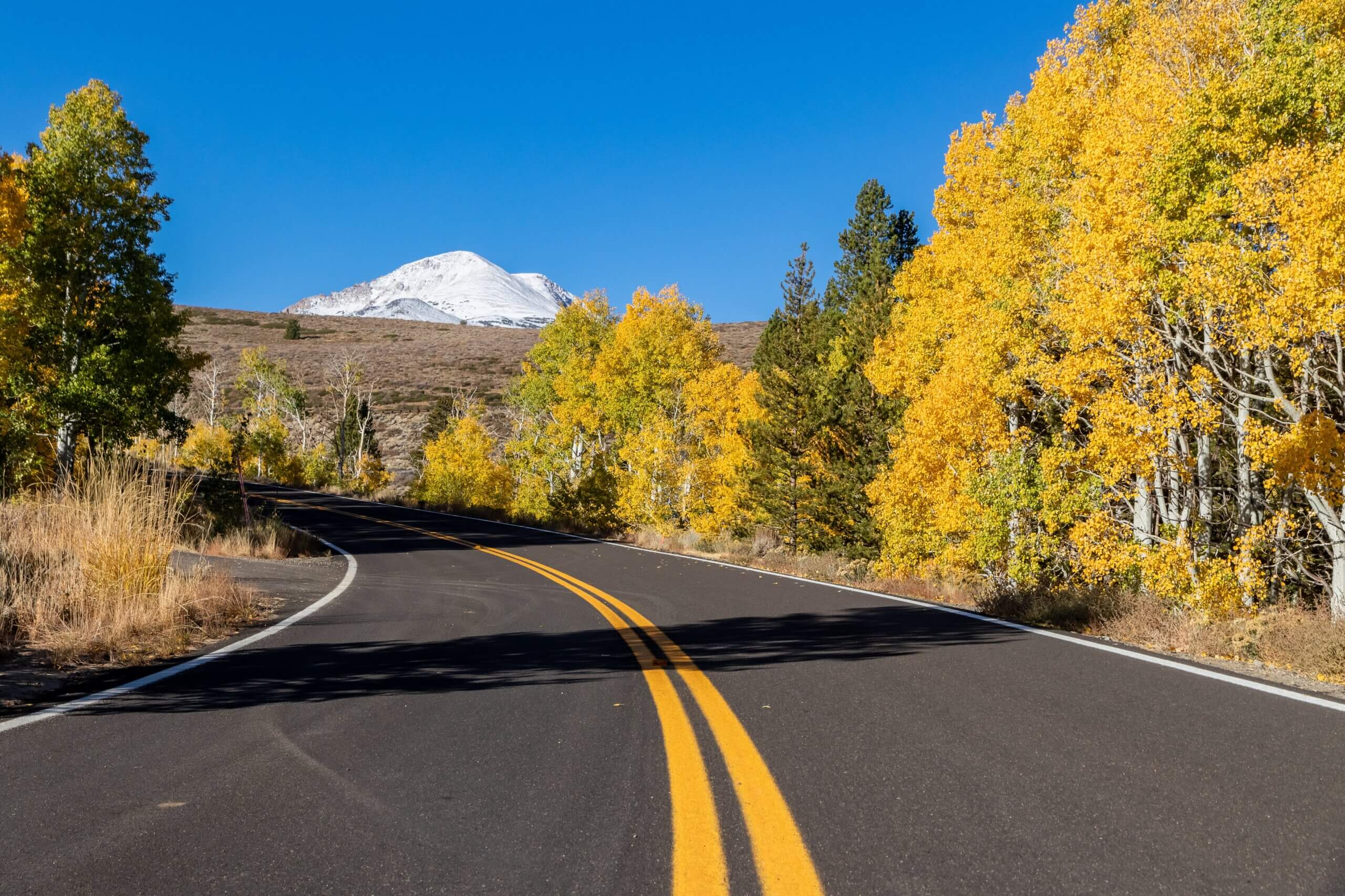 Where to See Fall Foliage in California