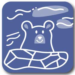 Graphic icon of a bear in a pool, featured on the summer in California bingo card and bucket list