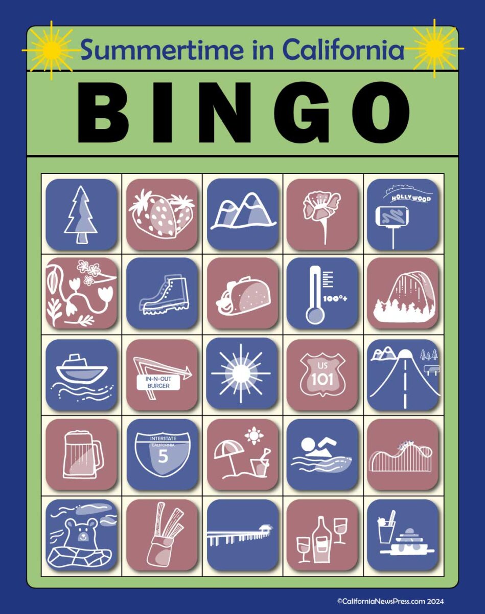 Summertime in California bingo card with graphic icons